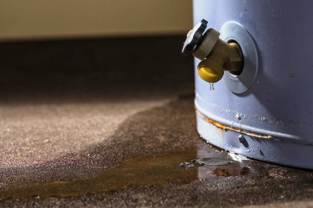 Best Water damage cleanup near me  in Temelec, CA