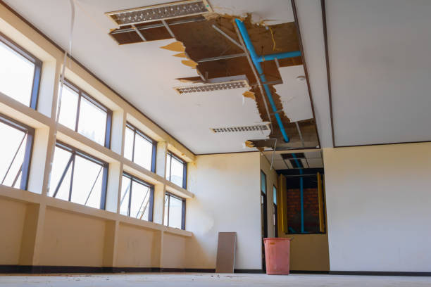 Best Water damage restoration mold remediation  in Temelec, CA