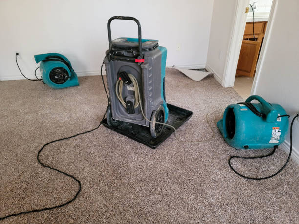 Best Commercial water damage restoration  in Temelec, CA