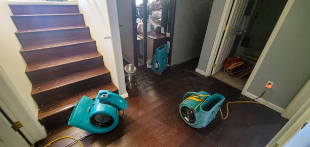 Best Commercial water damage restoration  in Temelec, CA