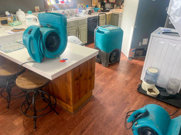 Best Carpet water damage restoration  in Temelec, CA