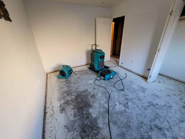 Best Fire Damage Restoration  in Temelec, CA