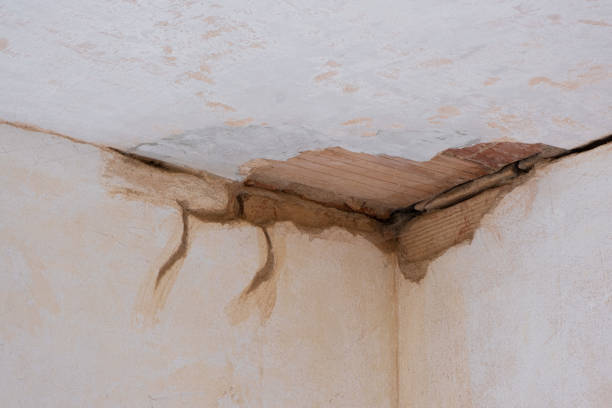 Best Water damage cleanup near me  in Temelec, CA