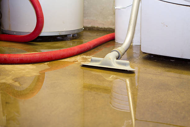 Water damage restoration experts in Temelec, CA
