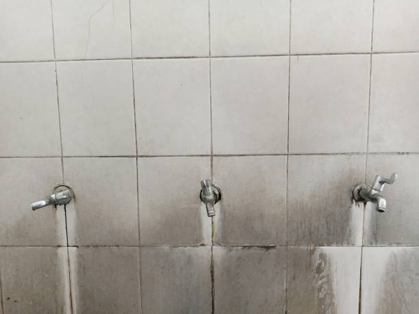 Best Emergency water damage restoration  in Temelec, CA