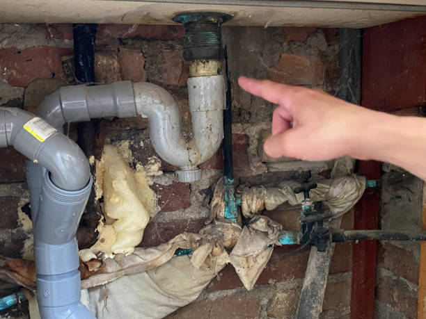 Best Water damage contractors near me  in Temelec, CA