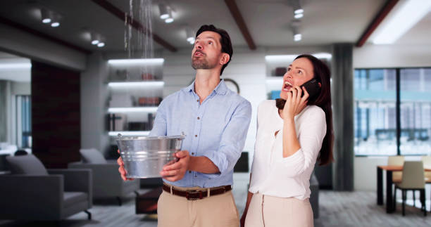Best Residential water damage restoration  in Temelec, CA
